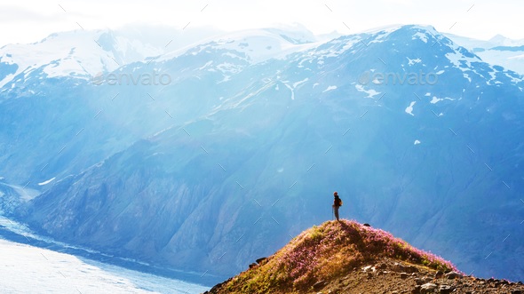 Salmon Glacier discount asset envato free assets