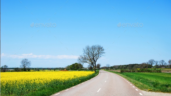 Countryroad by springtime https://photodune.net/item/countryroad-by-springtime/16534025?couponCode= discount course udemy free coupon