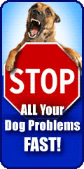 Doggy Dan Dog training http://www.theonlinedogtrainer.com
