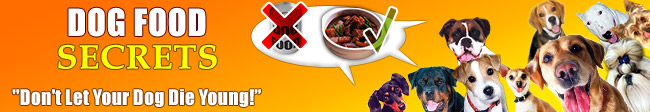 dog food secrets don't let your dog die young http://www.thedogfoodconspiracy.com dog food consipracy